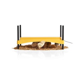 Brinsea Brinsea Ecoglow Safety 1200 Chick or Duckling Brooder, Adjustable Height & Angle Brooder Plate for 35 Chicks, Ideal for Chicken Coops Poultry Heating with Safety Indicator, 18 Watts