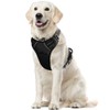Voarge Dog Harness for Large Dogs, Anti-Pull Dog Harness with