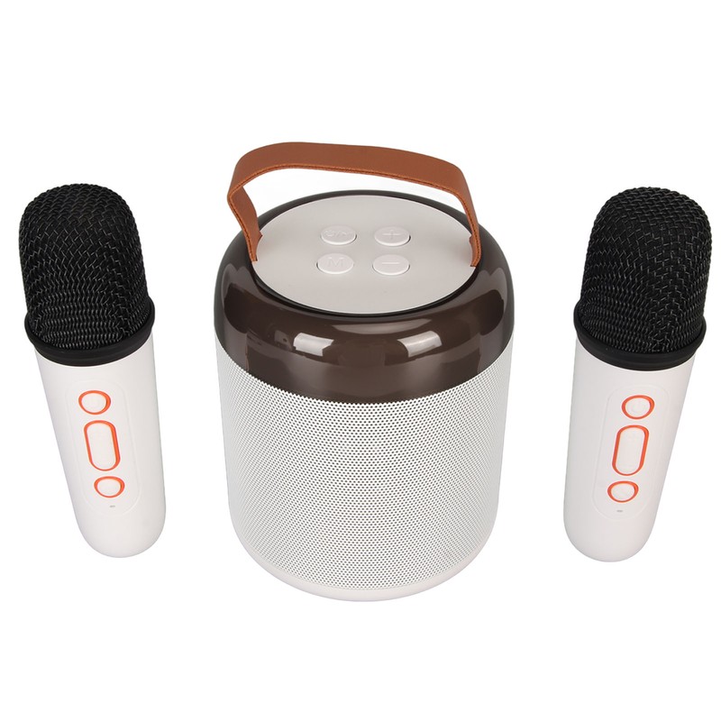 Wireless Karaoke Speakers RGB Light Bluetooth5.3 Speaker with 2 Wireless