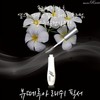 Detailed page [1+1] Beauterroir Lash Fixer Transparent Mascara Nutrient Eyelash