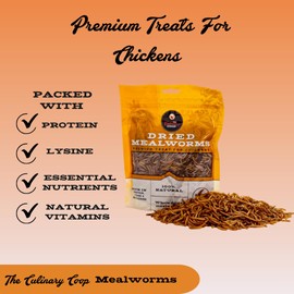 Fluker's Culinary Coop Premium Chicken Treats, Mealworms 10 oz, High Protein Worm, Nutritious Treat
