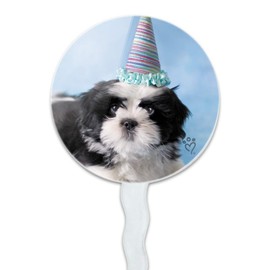 Shih Tzu Dog Birthday Party Hat Cupcake Picks Toppers Decoration Set of 6