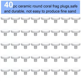Saricho Ceramic White Coralline Coral frag Plugs Coral frag Base Round/Big Size Round/Hexagon (round24mm40pcs)