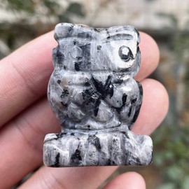 Ladeukoi Natural Black Labradorite Owl Bird Statue, Hand Carved Reiki Healing Crystal Animal Figurines Pocket Palm Stone Home Decoration 1.5 inches