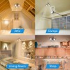 Triburst by Bell+Howell, ASON TV 4000 Lumens / 6500 Kelvin