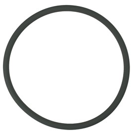 Pentair R172009Z Feeder O-Ring, White