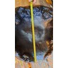 PondH2o Header Pool Waterfall Cascade, Lightweight Black PVC Water Garden