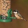 Ring-Pull TO-S1G Small Bird Feeder for Seeds - Green