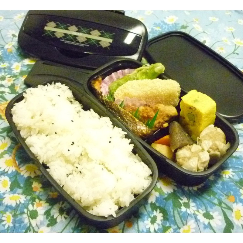 アスベル ランチボックス2段 「ディア」 TS-830