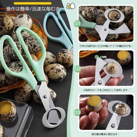 Quail Cutter, Set of 2, Quail Egg Scissors, Bird Egg Scissors, Egg Cutter, Stainless Steel Egg Cutter, Egg Splitter, Special Blade Shape and Angle Design, Used for Quail Eggs, Bird Eggs, Pigeon Eggs
