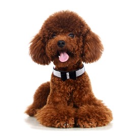 Haoyueer Rhinestone Dog Collar, Cute Dazzling Sparkling Soft Suede Leather Dog Cat Rhinestone Collar Crystal Diamond Pet Dog Puppy Collar (S, Black-1)