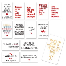 BSIKAIK 14 Funny Mini Love Notes Cards Valentines Cards with 14 Envelopes for Him Her Adults Boyfriend Girlfriend Husband Wife Anniversary Surprise Sweet Lunch Box Notes Card for Lover - DH147