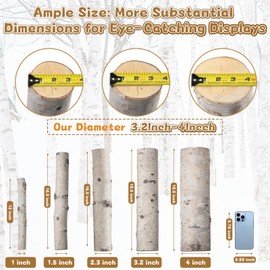 Large Birch Logs 4PCS Birch Wood 3.2"-4" Logs for Fireplace Decor DIY Crafts, Home Décor Wood Decor