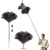 Madrigal 72" Extendable Ostrich Feather Duster for Cleaning with 2