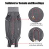 Dotoner Dog Surgery Recovery Suit Dog Suit for Male Female