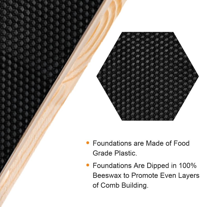 Deep Brood Beehive Frames with Wax Foundation, 10 Pack Honey