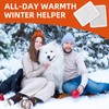 Large Hand & Body Warmers - 40 Count Heat Warmer