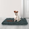furrybaby Dog Crate Pad for Dog Cages Flat Crate Mat