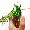 Stainless Steel Herb Stripper Tool, 10 Holes, Kitchen Leaf Remover