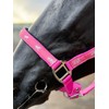 Horse Headcollar and Lead Rope Set, Pink with Horse Print