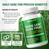 Nessarit Olive Leaf & Olive Fruit 9,100mg with 60% Oleuropein