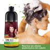 Shampoo Tinte Cubre Canas Rojo Vino Herbishh 500ml