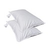 2 x Hofmann's Pillow 40 x 60 cm 150 g