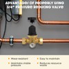 Upgraded 3/4" Water Pressure Regulator, FNPT Double Union, Polymer, Visual
