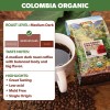 Java Planet Low Acid Organic Coffee – Whole Bean, Mold-Free