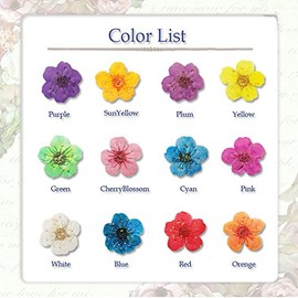 Looks like it's a Super Cute Be ♪♪【 Dried Flower High Quality Flower Set of 12 (Natural Flowers Use)] neirurezina-to For Bulk Pack of 100120 