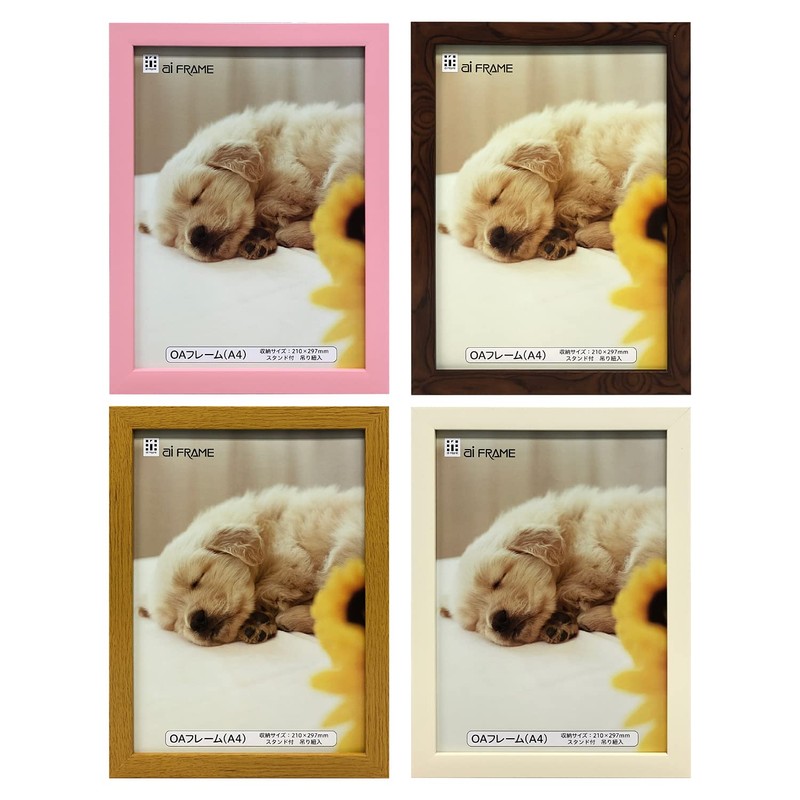 Iwata JOA-A4-P Picture Frame, OA Frame, Resin, Pink