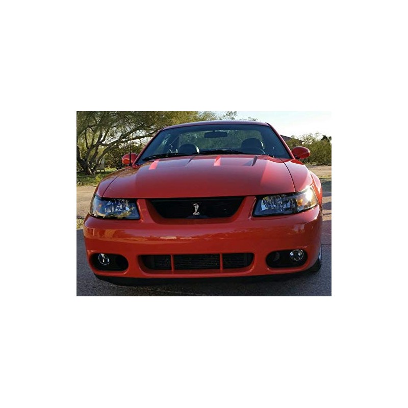 1994-2004 Mustang Cobra SVT Snake Chrome and Black Grill Grille
