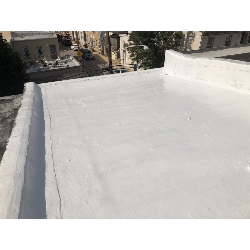 Black Jack Eterna-Kote 100% Silicone+ Roof Coating, White, 1 Gallon,