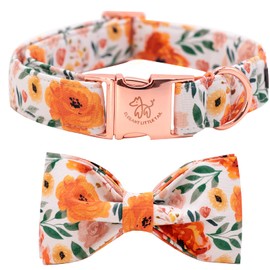 Elegant little tail Dog Collar with Bow, Floral Dog Bow Adjustable Dog Collars Cute Bowtie Dog Collar Girl Pet Collar for Small Dogs
