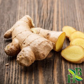 Herb To Body Ginger Root C/S | Cut & Sifted | Zingiber Officinale | Wildcrafted | 4oz