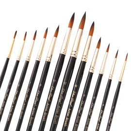 12 Piece Paint Brush Set, Premium Artist Brush, Watercolour Brush Set, Round Tip Brush Set, Ideal for Fine Painting Brushes, Painting by Numbers Brushes, Miniature Brushes, Brush Set Acrylic Paints,