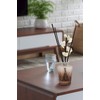 10inch Diffuser Replacement Sticks - 20 Pcs Aroma Reed Fragrance