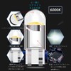 T10, Car LED, Position, Car Position, 12 V, License Lamp,