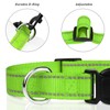 TagME Nylon Dog Collar, Adjustable Reflective Dog Collar with Safety