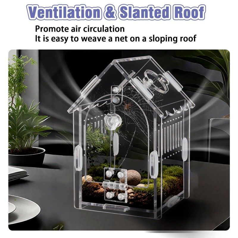 Jumping Spider Enclosure Kit Acrylic Terrarium for Tarantulas, Reptiles &