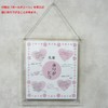 Velos PE-082S Clear Framing Award Plaque Transparent