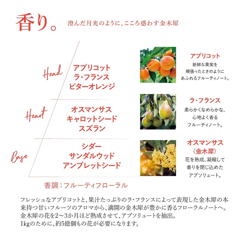 L'Occitane Ottomanthus Shower Gel, 8.5 fl oz (250 ml)