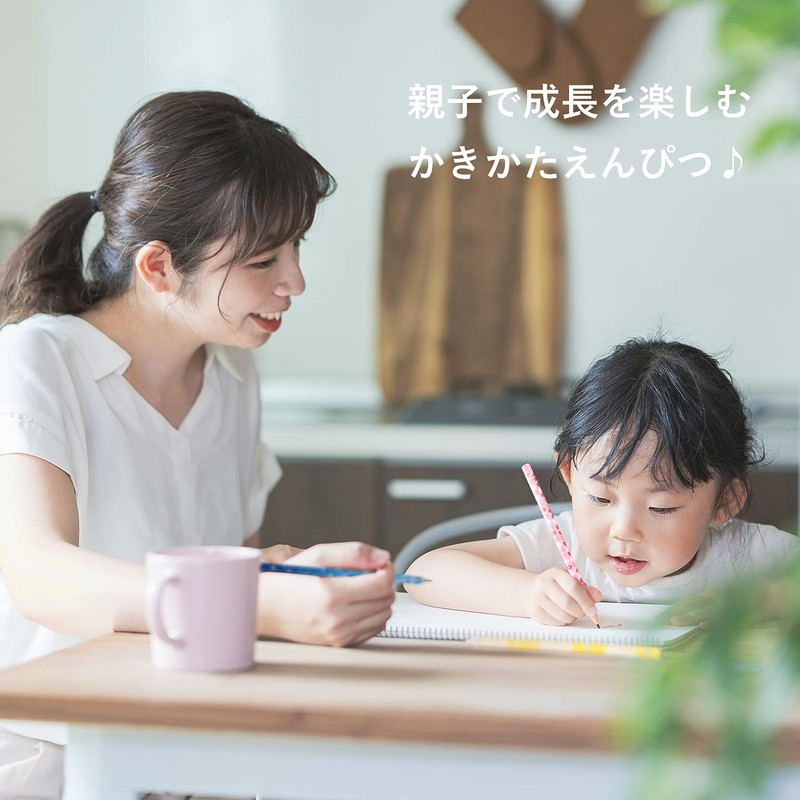 Staedtler Pencil 2B Shakata Pencil Pink Ones Series 1 Dozen