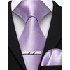 Barry.Wang Solid Color Pre-tied Ties for Men Zipper Necktie Pocket