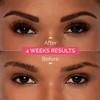 Renata Beauty Eyebrow Colour - Premium Eyebrow Dye - 15