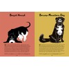 101 Dogs: An Illustrated Compendium of Canines