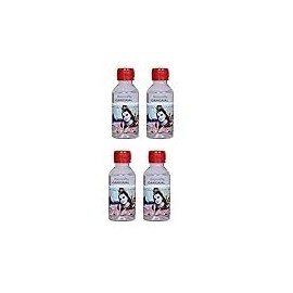 Gangajal Holy Water Ganga jal Hawan Item Pooja jal 100 ml Pack of 4