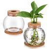 Baderke 2 Packs Propagation Vases for Plants Plastic Plant Propagation