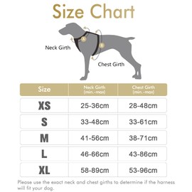 rabbitgoo Dog Harness Large Dog No Pull Pet Harness with 2 Leash Clips, Adjustable Soft Padded Pet Vest Harness, Reflective No-Choke with Easy Control Handle for Training or Walking, Coffee, L