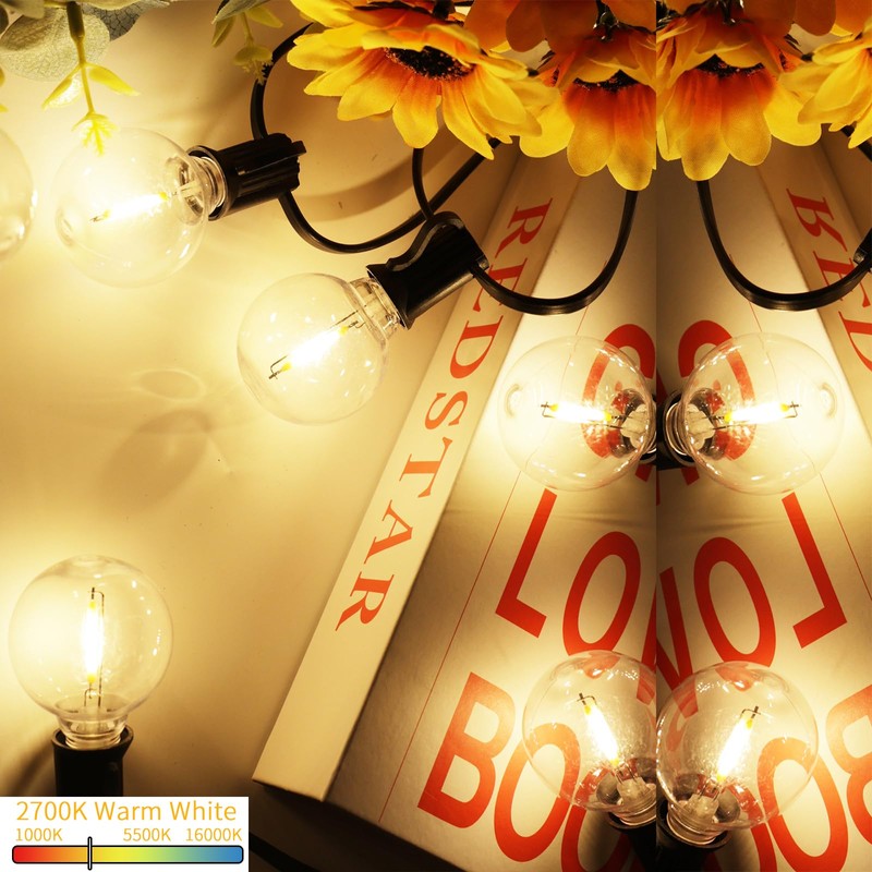 Svater G40 LED Replacement Bulbs for Outdoor String Lights, 25